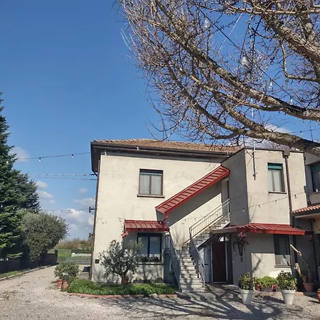 Agli Ulivi 3* Filo