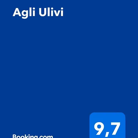 Agli Ulivi 3*