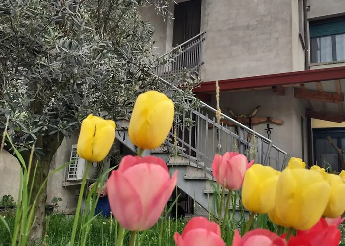 לינה וארוחת בוקר Agli Ulivi